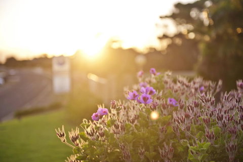 Kangaroo Island Seaside Inn - Surfers Gold Coast 33
