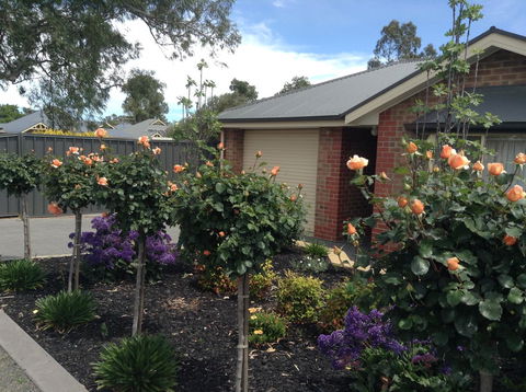 C And C Tanunda - Surfers Gold Coast 1