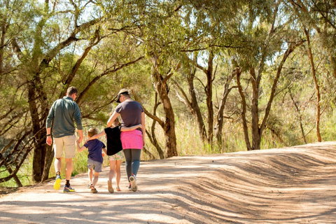 BIG4 Renmark Riverfront Holiday Park - Surfers Gold Coast 13