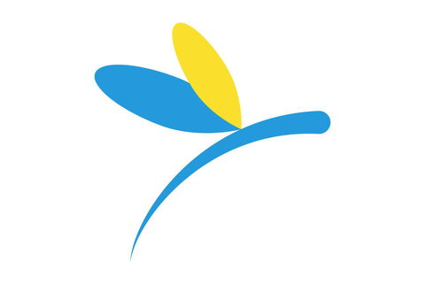 KI Dragonfly Guesthouse - Surfers Gold Coast 1