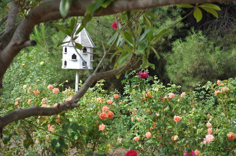 The Lyndoch Motel - Surfers Gold Coast 2