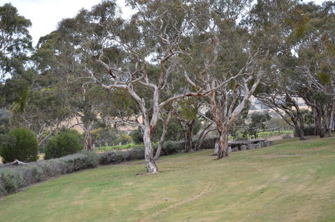 Cabernet Cottage - Surfers Gold Coast 8