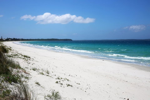 Wildwood I Pet Friendly I 5 Mins To Beach - Surfers Gold Coast 14