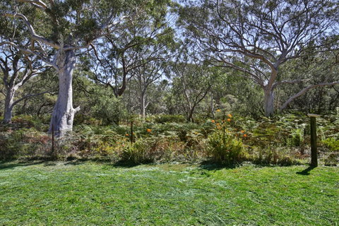 Wildwood I Pet Friendly I 5 Mins To Beach - Surfers Gold Coast 17