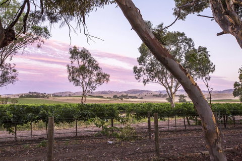 Jasmine\'s Barossa Valley Cottage - Surfers Gold Coast 19