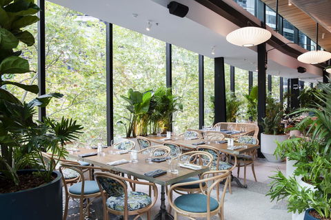 Vibe Hotel North Sydney - Surfers Gold Coast 4