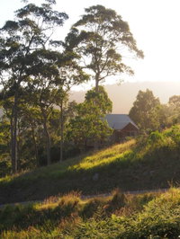 Book Bawley Point Accommodation Vacations Surfers Gold Coast Surfers Gold Coast