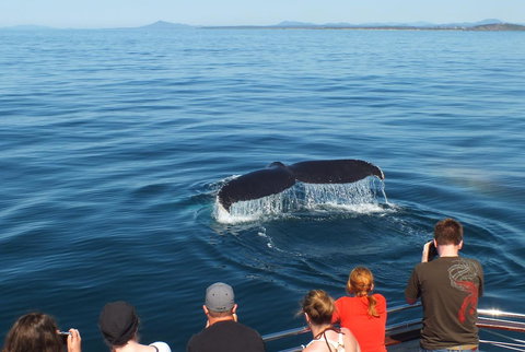 Pacific Marina Apartments - Surfers Gold Coast 34