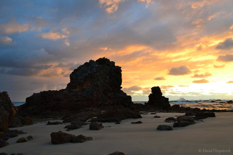 Flynns Beach Resort - Surfers Gold Coast 19