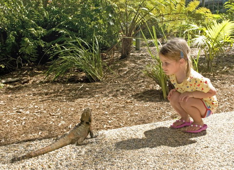 Flynns Beach Resort - Surfers Gold Coast 16