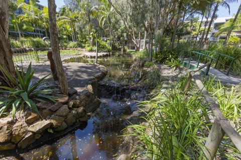 Flynns Beach Resort - Surfers Gold Coast 13