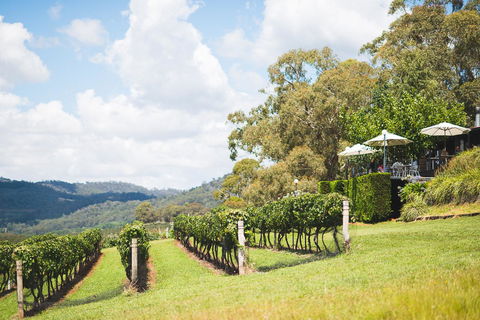 Borrodell Vineyard - Surfers Gold Coast 12
