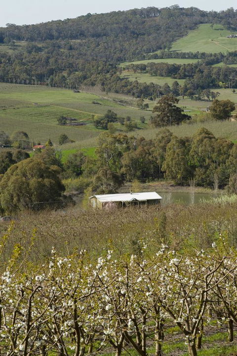 Borrodell Vineyard - Surfers Gold Coast 30