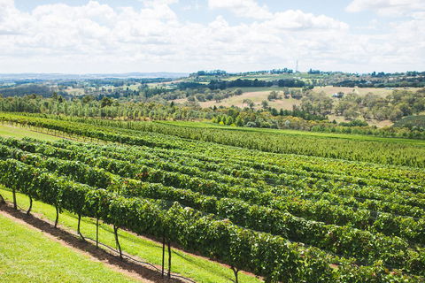 Borrodell Vineyard - Surfers Gold Coast 29