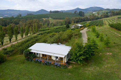 Borrodell Vineyard - Surfers Gold Coast 2