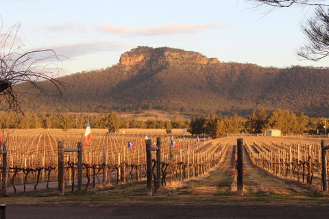 Nightingale Villas - Surfers Gold Coast 4