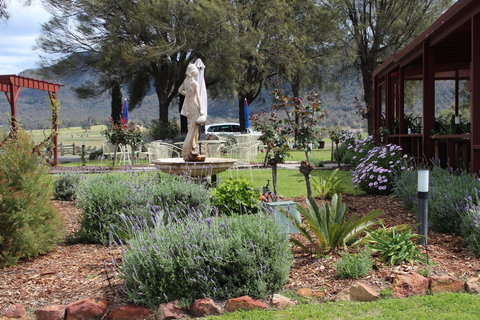 Nightingale Villas - Surfers Gold Coast 12