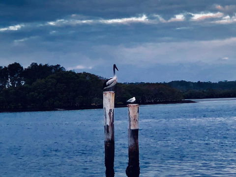 Boathouse Resort (Water Front) - Surfers Gold Coast 15