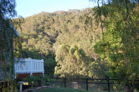 Cadair Cottages - Surfers Gold Coast 16