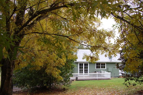 Cadair Cottages - Surfers Gold Coast 18