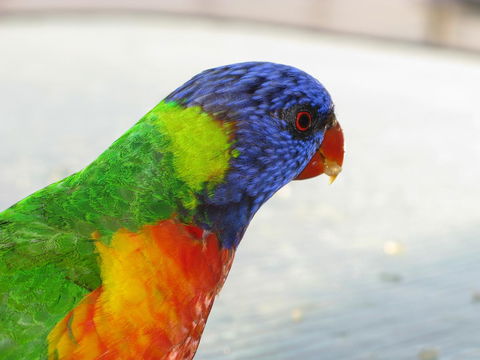 Baywatch Apartments Merimbula - Surfers Gold Coast 23