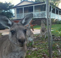 Bush  Bay Cottage - Surfers Gold Coast