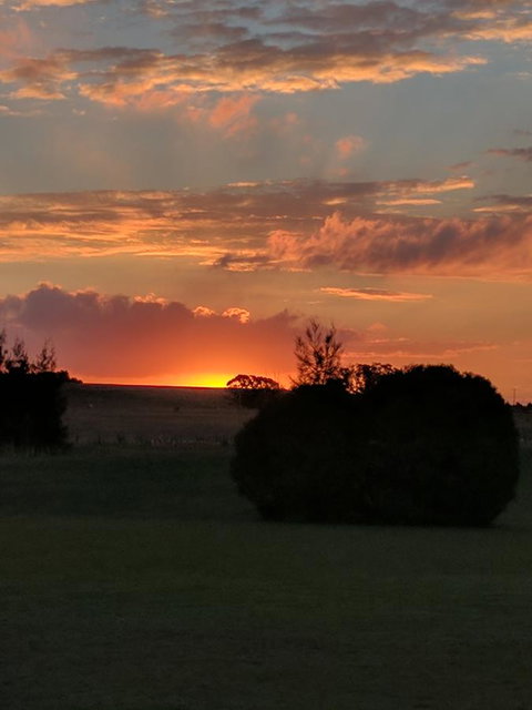 Madigan Wine Country Cottages - Surfers Gold Coast 13