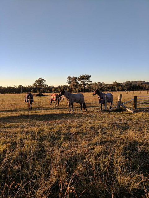 Madigan Wine Country Cottages - Surfers Gold Coast 8