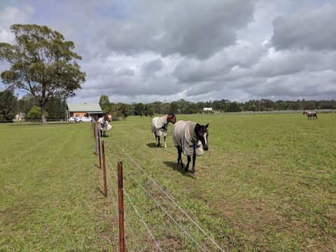 Madigan Wine Country Cottages - Surfers Gold Coast 9