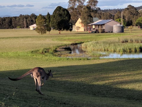 Madigan Wine Country Cottages - Surfers Gold Coast 6