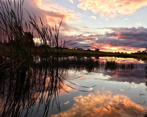 Madigan Wine Country Cottages - Surfers Gold Coast 16