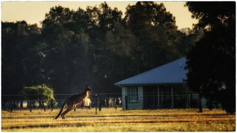 Madigan Wine Country Cottages - Surfers Gold Coast 5