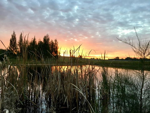 Madigan Wine Country Cottages - Surfers Gold Coast 14