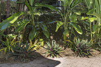 Book Stuart Park Accommodation Vacations Surfers Gold Coast Surfers Gold Coast