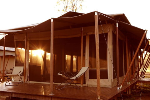 Wildman Wilderness Lodge - Surfers Gold Coast 6