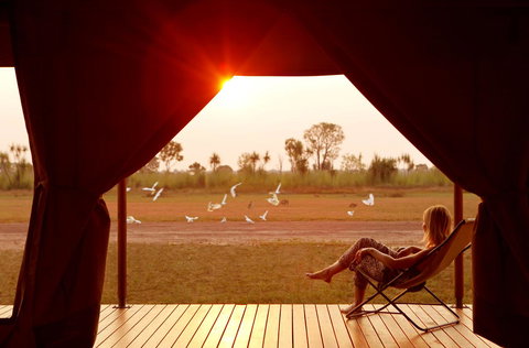 Wildman Wilderness Lodge - Surfers Gold Coast 12