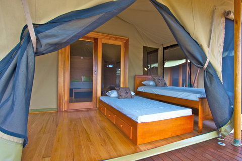 Wildman Wilderness Lodge - Surfers Gold Coast 8