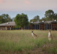 Wildman Wilderness Lodge - Surfers Gold Coast