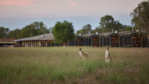 Wildman Wilderness Lodge - Surfers Gold Coast 0