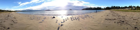 Corrigans Cove - Surfers Gold Coast 2