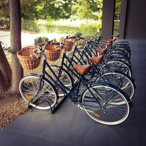 QT Canberra - Surfers Gold Coast 3