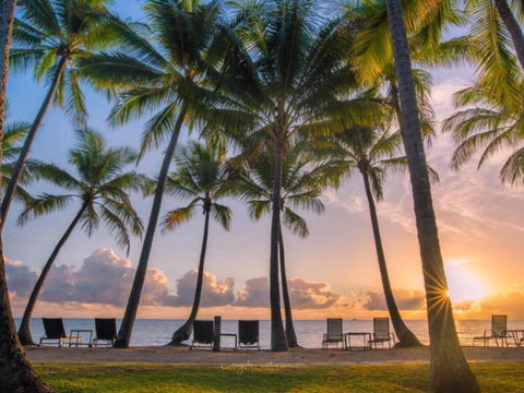 Brindabella - Palm Cove - Surfers Gold Coast 1