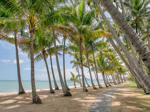 Brindabella - Palm Cove - Surfers Gold Coast 3