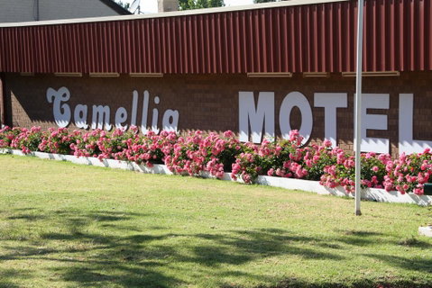 Camellia Motel - Surfers Gold Coast 2