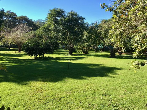 Camelot Cottages - Surfers Gold Coast 2