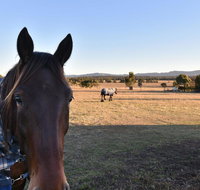 Clydesdale Cottage on Talga with real Clydesdale Horses - Surfers Gold Coast