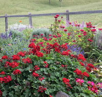 Country Mile Escape - Surfers Gold Coast