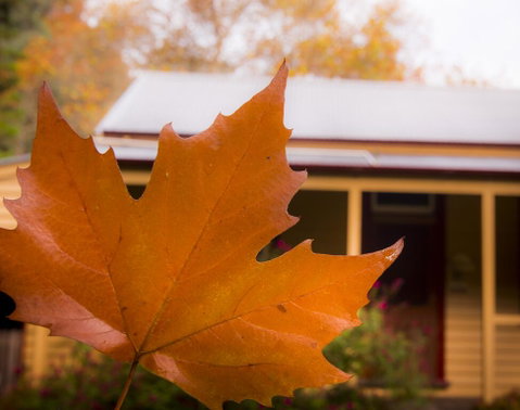 Creek Cottage - Surfers Gold Coast 3
