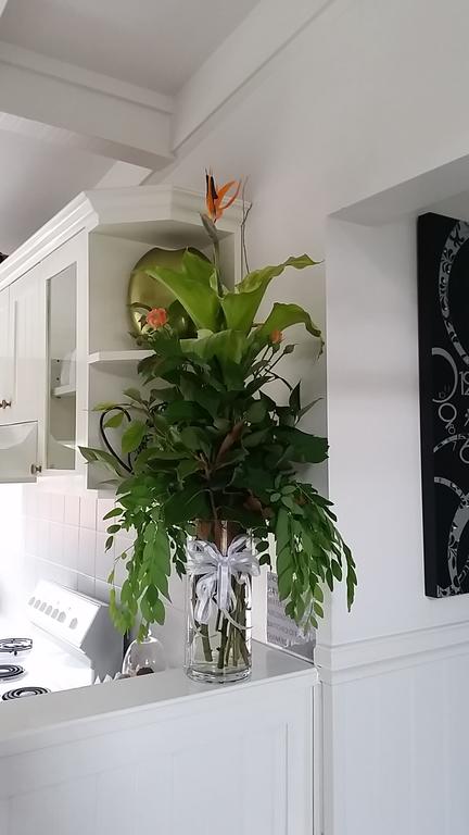 Creek Cottage Bed And Breakfast - Surfers Gold Coast 1