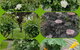 Creek Cottage Bed And Breakfast - thumb 3